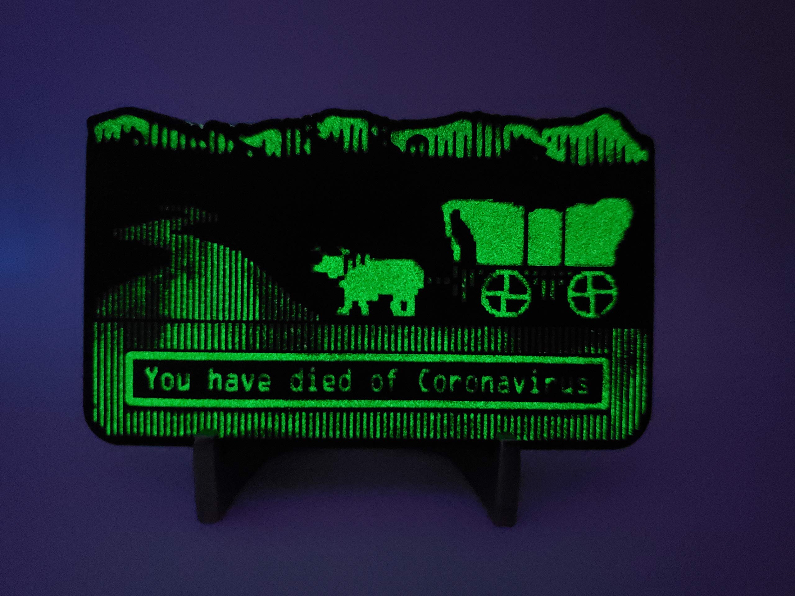 Glowing Challenge Coin - You Have Died of Corona - Like Oregon Trail You Have Died of Dysentery