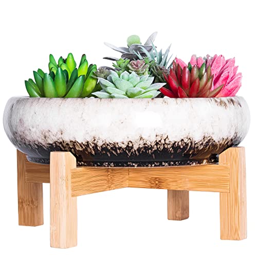 ARTKETTY Succulent Planters - Ceramic Succulent Pots with Drainage, 10 Inch Large Shallow Bonsai Pot with Stand Decorative Garden Cactus Flower Planter Container Bowl for Desk or Windowsill