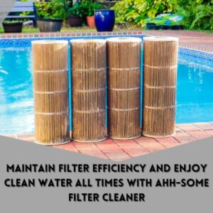 AhhSome Hot Tub, Swim Spa & Pool Filter Cleaner, Hot Tub Filters & Cartridge Cleaner Soak Solution, Works Great on Sand Filters, Improves Tub Filter Efficiency, 6 Months Cleaning in a Single Container