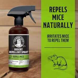 Grandpa Gus's Double-Potent Rodent Repellent Spray, Peppermint & Cinnamon Oil, Prevents Mouse/Rats from Nesting & Chewing on Wires, 16 fl oz (Pack of 1)