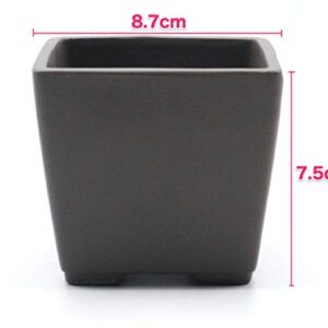 Seto Yaki Bonsai Tree Pot Ceramic Square Shaped (3.5", No-Glazed)
