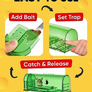 Motel Mouse Humane Mouse Traps No Kill Live Catch and Release 2 Pack - Reusable, Easy to Use & Clean, No Touch Release, Sensitive Includes Cleaning Brush, Instruction Manual & Video - Mousetrap Indoor