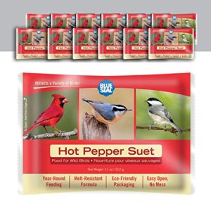 blue seal hot pepper suet cakes for wild birds - no mess suet feed, food for woodpeckers, cardinals, siskins, sparrows & more - 11oz suet feeder, bird seed cakes (pack of 12)