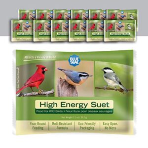 blue seal high energy suet cake | no mess wild bird suet | 11 oz (12 pack)