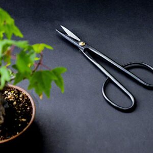 Wazakura 2PCS Japanese Bonsai Trimming Kit MADE IN JAPAN, Twig Bonsai Scissors 8-1/4inch(210mm) + Sap Rust Eraser Set