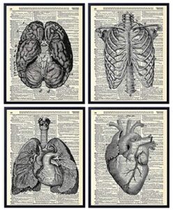 anatomy organs (4 piece set), vintage dictionary art print, wall art for home decor, wall decor for doctor nurse office 8x10 inches, unframed