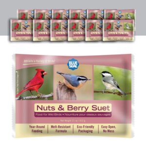 blue seal nuts & berry suet cake | no mess wild bird suet | 11 oz (12 pack)