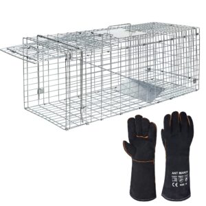 ant march live animal cage trap 32"x11.5"x13" steel humane release rodent cage for rabbits, stray cat, squirrel, raccoon, mole, gopher, chicken, opossum, skunk, chipmunks, groundhog