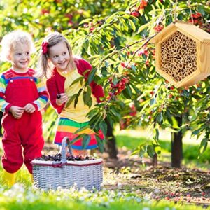 Mason Bee House Native Bee Hive Hexagon Bee House Natural Handmade Wooden Mason Bee Box Habitat Home Hotel with Bamboo Tubes -Attracts Peaceful Bee Pollinators to Enhance Your Garden's Productivity