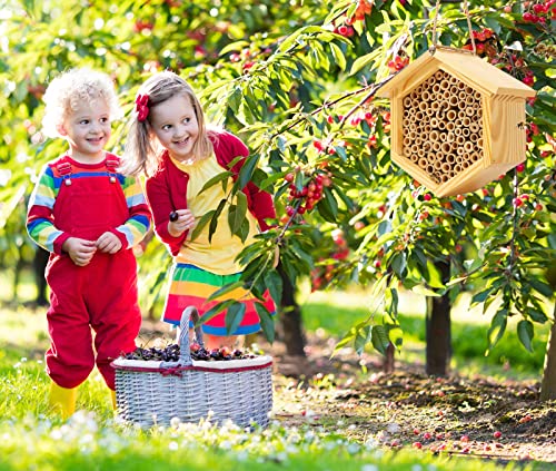 Mason Bee House Native Bee Hive Hexagon Bee House Natural Handmade Wooden Mason Bee Box Habitat Home Hotel with Bamboo Tubes -Attracts Peaceful Bee Pollinators to Enhance Your Garden's Productivity