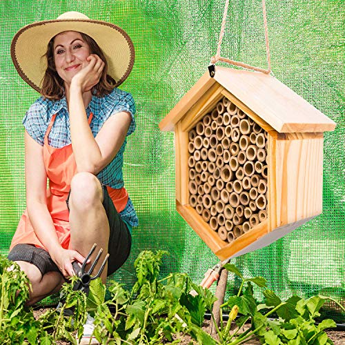 Mason Bee House Native Bee Hive Hexagon Bee House Natural Handmade Wooden Mason Bee Box Habitat Home Hotel with Bamboo Tubes -Attracts Peaceful Bee Pollinators to Enhance Your Garden's Productivity