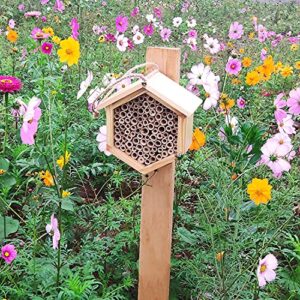 Mason Bee House Native Bee Hive Hexagon Bee House Natural Handmade Wooden Mason Bee Box Habitat Home Hotel with Bamboo Tubes -Attracts Peaceful Bee Pollinators to Enhance Your Garden's Productivity