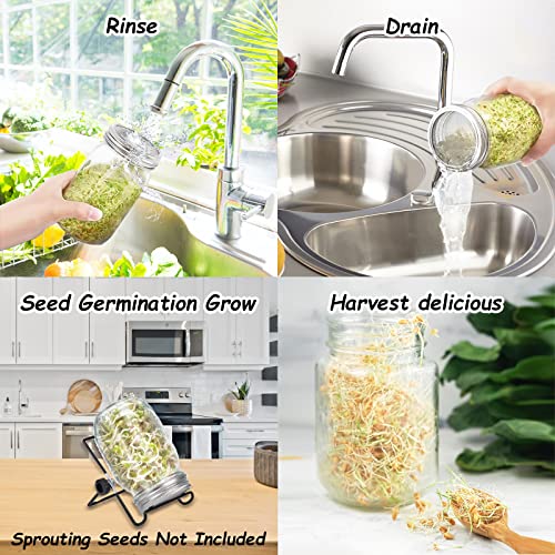 Sprouting Jar Kit, Wide Mouth Quart Mason Jars with Screen Sprout Lids & Stand, Seeds Germination Growing Kit, Seed Sprouter Set for Growing Organic Broccoli Alfalfa Mung Microgreens Bean (1Pack)