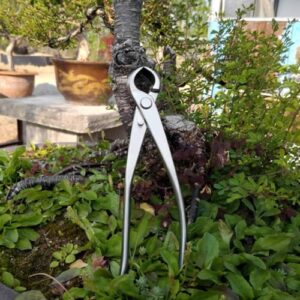 Agatige Bonsai Branch Cutter, 7 Inch (180mm) Stainless Steel Concave Knob Cutter Tree Limb Cutter Bonsai Pruning Japanese Gardening Tools