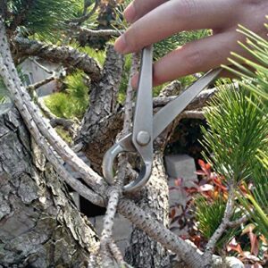 Agatige Bonsai Branch Cutter, 7 Inch (180mm) Stainless Steel Concave Knob Cutter Tree Limb Cutter Bonsai Pruning Japanese Gardening Tools