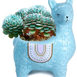 Dahlia Cute Llama Ceramic Succulent Planter/Plant Pot/Flower Pot/Bonsai Pot, Sky Blue