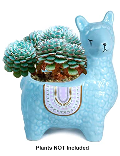 Dahlia Cute Llama Ceramic Succulent Planter/Plant Pot/Flower Pot/Bonsai Pot, Sky Blue