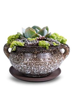 dahlia vintage speckle ceramic succulent planter/plant pot/flower pot/bonsai pot, c