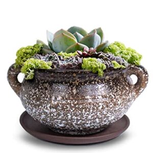 Dahlia Vintage Speckle Ceramic Succulent Planter/Plant Pot/Flower Pot/Bonsai Pot, C