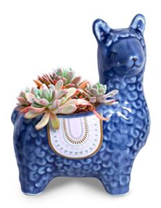 dahlia cute llama ceramic succulent planter/plant pot/flower pot/bonsai pot, blue