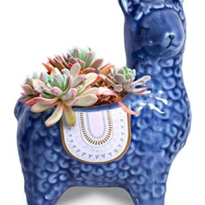 Dahlia Cute Llama Ceramic Succulent Planter/Plant Pot/Flower Pot/Bonsai Pot, Blue