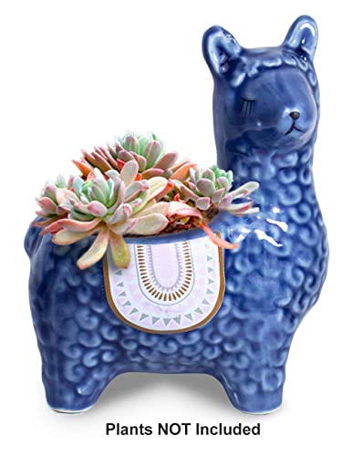 Dahlia Cute Llama Ceramic Succulent Planter/Plant Pot/Flower Pot/Bonsai Pot, Blue