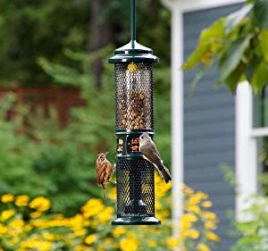 Squirrel Buster Nut Feeder Squirrel-Proof Bird Feeder for Nuts and Fruit, Two Meshes