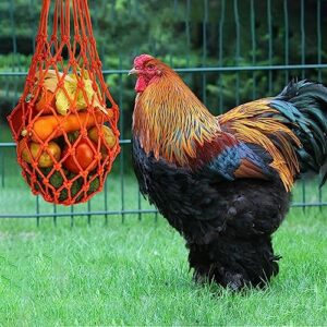 CooShou Chicken Vegetable String Bag Poultry Fruit Holder Chicken Cabbage Feeder Treat Feeding Tool with Hook for Hens Chicken Coop Toy for Hen Goose Duck