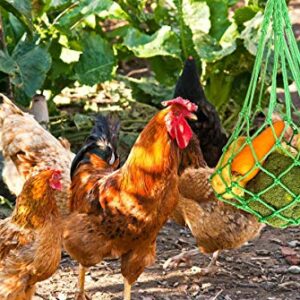 CooShou Chicken Vegetable String Bag Poultry Fruit Holder Chicken Cabbage Feeder Treat Feeding Tool with Hook for Hens Chicken Coop Toy for Hen Goose Duck