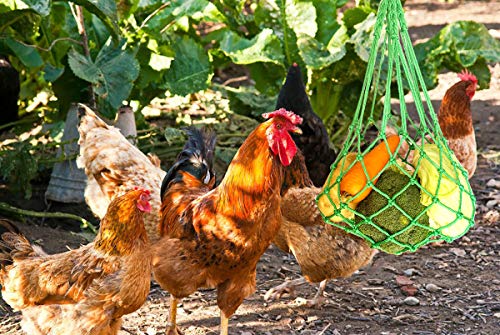 CooShou Chicken Vegetable String Bag Poultry Fruit Holder Chicken Cabbage Feeder Treat Feeding Tool with Hook for Hens Chicken Coop Toy for Hen Goose Duck