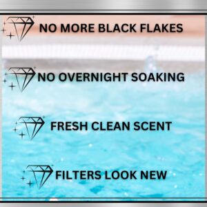 Black Diamond Stoneworks Ultimate Spa Filter Cleaner Fast-Acting Spray. Works Instantly on Hot Tub & Pool Filters Leaving Behind no Sticky Residue. Prolongs Filter Life and Pool Equipment. No Soaking