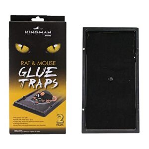 kingman prime medium mouse trap rat trap glue trap/board (24 traps) rodent trap safe easy non-toxic