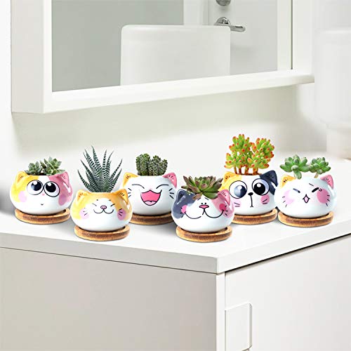 YINUOWEI Succulent Pots with Drainage 3.6 Inch Mini Cat Pots for Plants Tiny Animal Planter Small Ceramic Air Plant Flower Pots Cactus Faux Planters Containers with Bamboo Tray