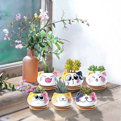 YINUOWEI Succulent Pots with Drainage 3.6 Inch Mini Cat Pots for Plants Tiny Animal Planter Small Ceramic Air Plant Flower Pots Cactus Faux Planters Containers with Bamboo Tray