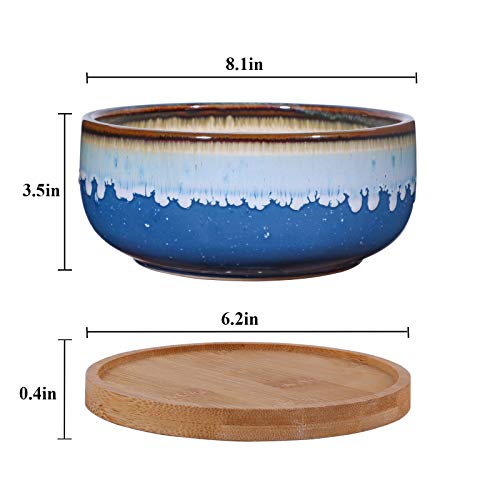 EPFamily 8 Inch Succulent Planter Pot with Drainag and Saucer Shallow Bonsai Pot for Indoor Plants Blue