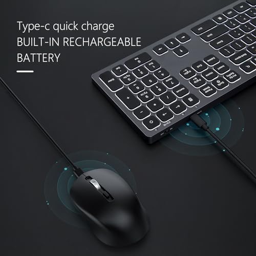 Wireless Backlit Keyboard and Mouse Combo, Seenda Illuminated Light Up Full Size Keyboard, Rechargeable Keyboard and Mouse for Microsoft Windows PC Computer Laptop Desktop, Space Grey