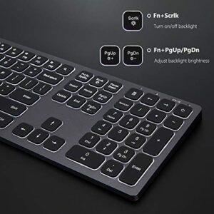 Wireless Backlit Keyboard and Mouse Combo, Seenda Illuminated Light Up Full Size Keyboard, Rechargeable Keyboard and Mouse for Microsoft Windows PC Computer Laptop Desktop, Space Grey