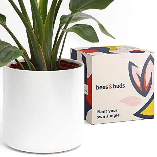 Bees & Buds 10 inch White Plant Pot - White Planters for Indoor Plants - Ceramic Planter Pots with Drainage - Mid Century Modern Large Flower Holder