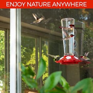 Large Leak Proof Window Hummingbird Feeders for Outdoors Hanging - Ant and Bee Proof - Window Hummingbird Feeder for Outdoor - Hummingbird Feeder Window Mount