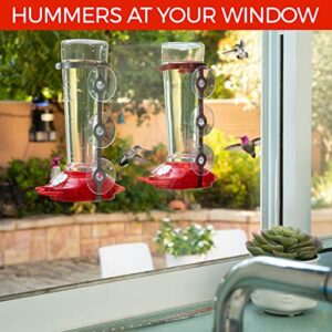 Large Leak Proof Window Hummingbird Feeders for Outdoors Hanging - Ant and Bee Proof - Window Hummingbird Feeder for Outdoor - Hummingbird Feeder Window Mount