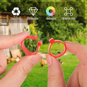 MEWTOGO 100 Pcs Chicken Leg Rings- Colorful Numbered Chicken Identification Leg Bands Poultry Leg Bands Clip on Leg Rings for Ducks Chicks Chicken Guinea Pigeons Goose Gamefowl Turkey (16mm)