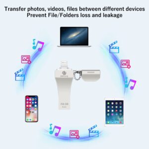 Apple MFi Certified 256GB Photo-Stick for iPhone External-iPhone-Storage iPhone-USB-Flash-Drive iPad Backup-Photo-Storage iPad USB-Thumb-Drive Data Transfer Device Memory Stick for iPhone/iPad/PC 1pcs