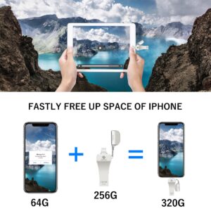 Apple MFi Certified 256GB Photo-Stick for iPhone External-iPhone-Storage iPhone-USB-Flash-Drive iPad Backup-Photo-Storage iPad USB-Thumb-Drive Data Transfer Device Memory Stick for iPhone/iPad/PC 1pcs