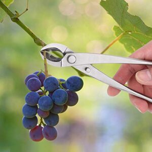 Qinlorgo Bonsai Branch Cutter Ergonomic Long Handle Resistant to Rust Garden Scissor Stainless Steel for Outdoor