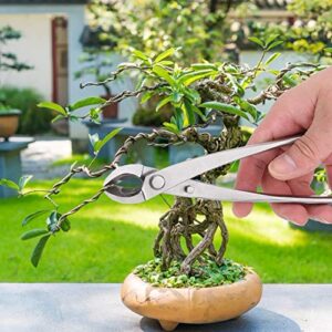 Qinlorgo Bonsai Branch Cutter Ergonomic Long Handle Resistant to Rust Garden Scissor Stainless Steel for Outdoor