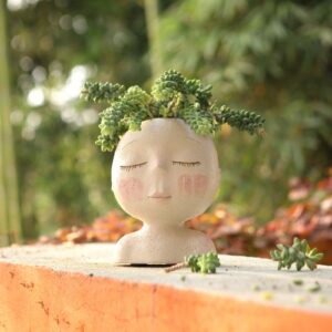 AIMEBBY Face Flower Pot Head Planter Pot Succulent Planter Cute Resin Cactus Planter with Drainage Hole Cute Face