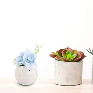 YARDWE 1pc Succulent Potted Plants Bonsai Pot Bonsai Planter Pot Desktop Bonsai Holder Whale Planter Ceramic Flower Pots Ocean Series Flowerpot Ceramics Flower Container White Succulents