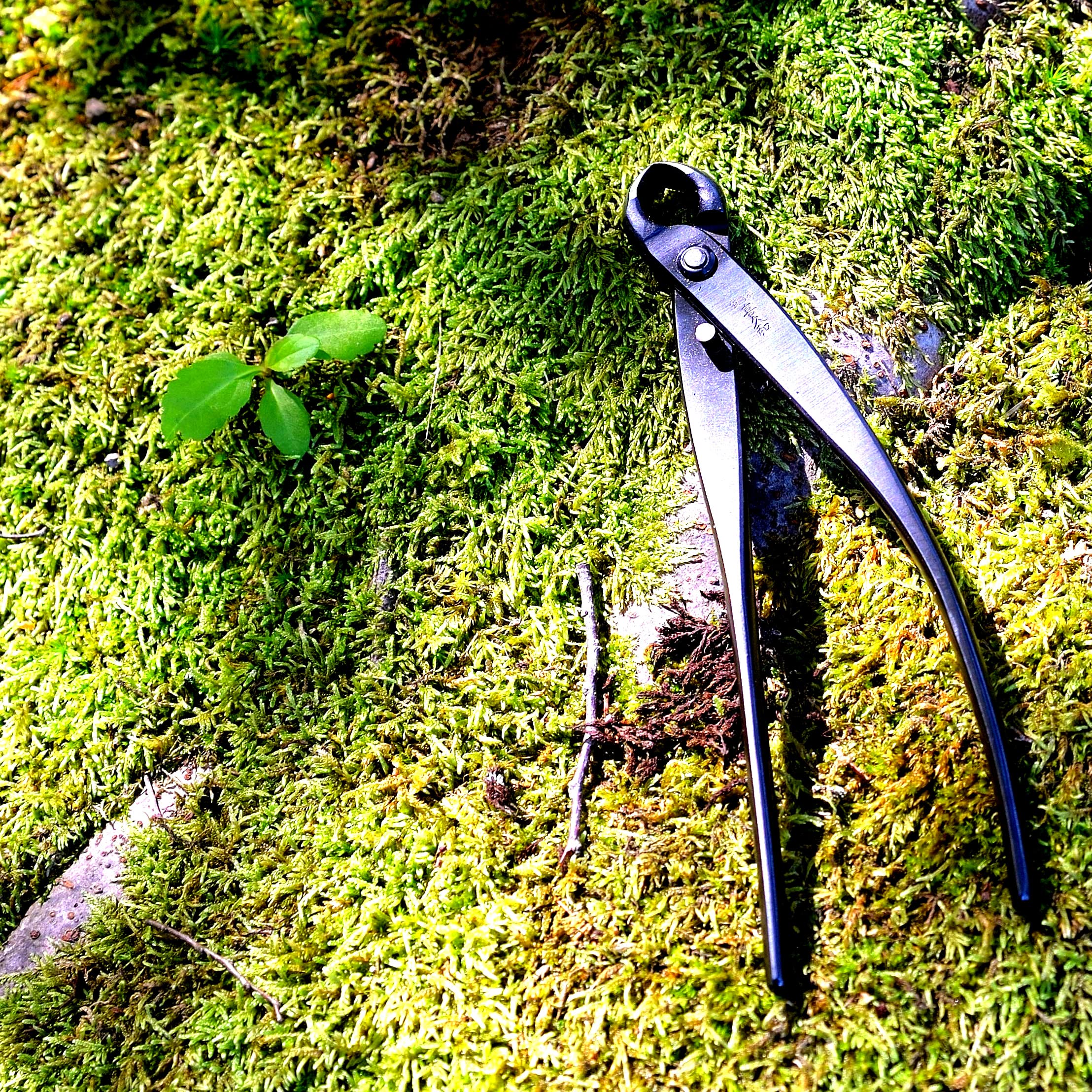 KAKURI Bonsai Knob Cutter 6.8" (175 mm) Professional Bonsai Tool, Japanese Carbon Steel, Concave Curved Blade, Black, Made in JAPAN