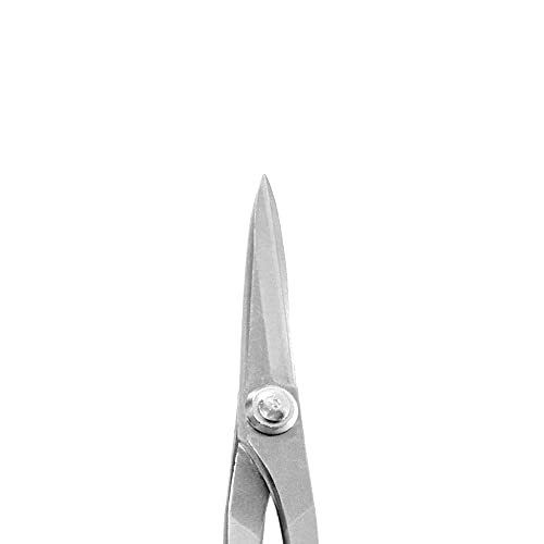 KAKURI Satsuki Bonsai Scissors 7" (180 mm) Professional Bonsai Tool, Japanese Stainless Steel, Silver, Made in JAPAN