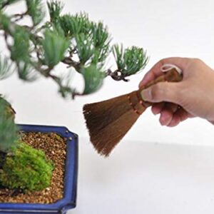 KAKURI Bonsai Broom Brush Medium 5.1" Professional Gentle Small Broom, Japanese Bonsai Tool